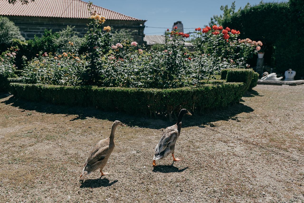 Casa Dos Pombais Bed & Breakfast กิมาไรส์ ภายนอก รูปภาพ